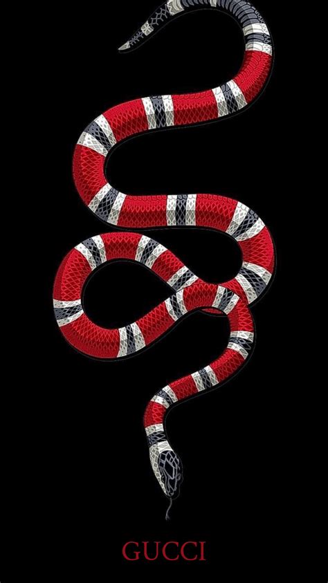 gucci anake|gucci snake collection.